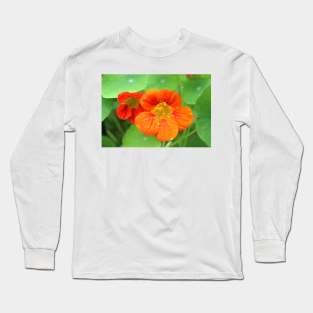 Nasturtium Flowers Long Sleeve T-Shirt by pinkal